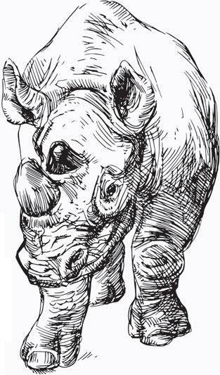 Иллюстрация к книге — Живые домики. С вопросами и ответами для почемучек [_81.jpg]