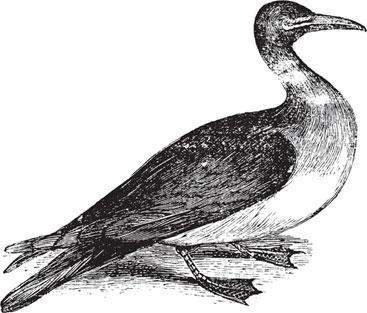 Иллюстрация к книге — Живые домики. С вопросами и ответами для почемучек [_83.jpg]