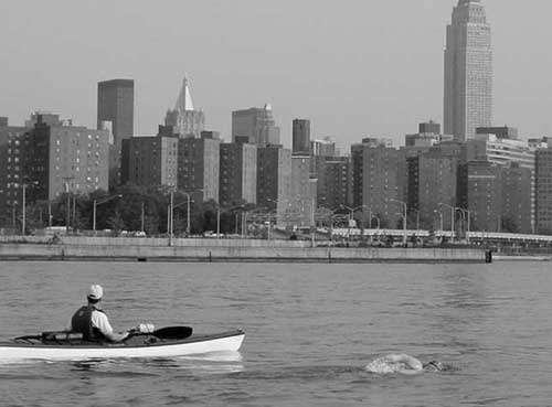 Иллюстрация к книге — Как рыба в воде. Эффективные техники плавания, доступные каждому [i_004.jpg]