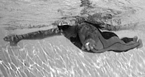 Иллюстрация к книге — Как рыба в воде. Эффективные техники плавания, доступные каждому [i_008.jpg]