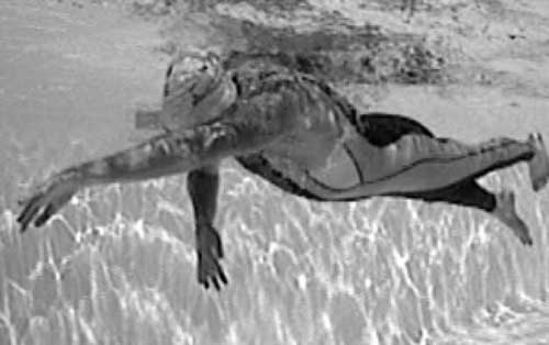 Иллюстрация к книге — Как рыба в воде. Эффективные техники плавания, доступные каждому [i_011.jpg]