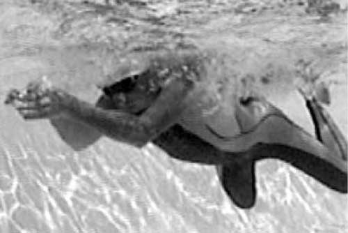 Иллюстрация к книге — Как рыба в воде. Эффективные техники плавания, доступные каждому [i_021.jpg]