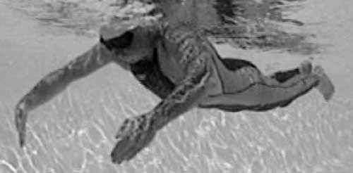 Иллюстрация к книге — Как рыба в воде. Эффективные техники плавания, доступные каждому [i_032.jpg]