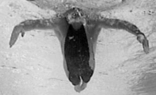 Иллюстрация к книге — Как рыба в воде. Эффективные техники плавания, доступные каждому [i_037.jpg]