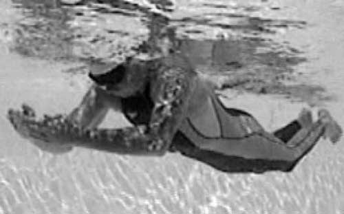 Иллюстрация к книге — Как рыба в воде. Эффективные техники плавания, доступные каждому [i_041.jpg]