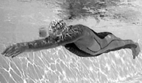 Иллюстрация к книге — Как рыба в воде. Эффективные техники плавания, доступные каждому [i_044.jpg]