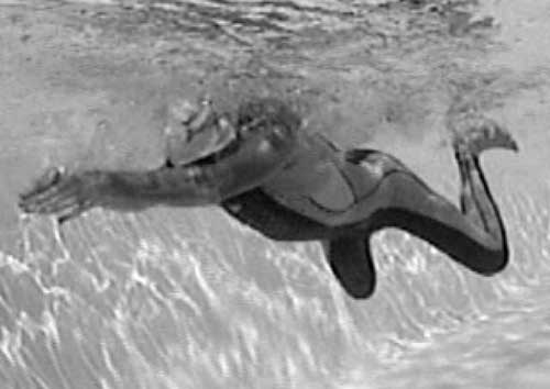 Иллюстрация к книге — Как рыба в воде. Эффективные техники плавания, доступные каждому [i_064.jpg]