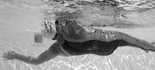 Иллюстрация к книге — Как рыба в воде. Эффективные техники плавания, доступные каждому [i_094.jpg]