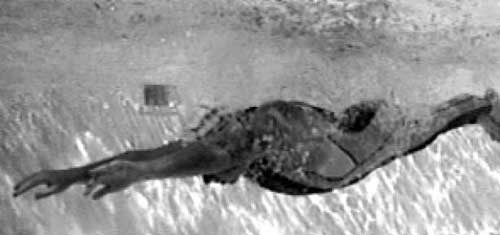 Иллюстрация к книге — Как рыба в воде. Эффективные техники плавания, доступные каждому [i_097.jpg]