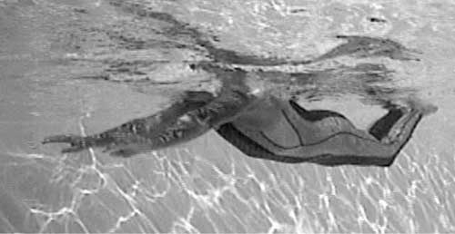 Иллюстрация к книге — Как рыба в воде. Эффективные техники плавания, доступные каждому [i_107.jpg]