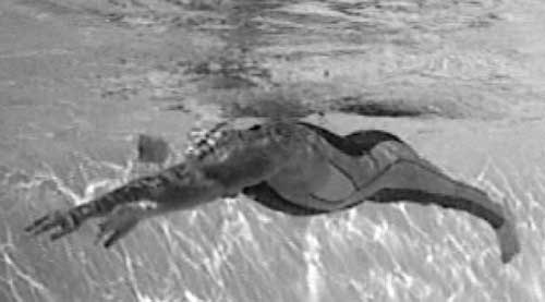 Иллюстрация к книге — Как рыба в воде. Эффективные техники плавания, доступные каждому [i_121.jpg]