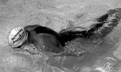 Иллюстрация к книге — Как рыба в воде. Эффективные техники плавания, доступные каждому [i_124.jpg]