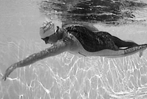 Иллюстрация к книге — Как рыба в воде. Эффективные техники плавания, доступные каждому [i_154.jpg]