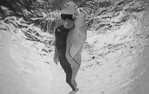 Иллюстрация к книге — Как рыба в воде. Эффективные техники плавания, доступные каждому [i_165.jpg]