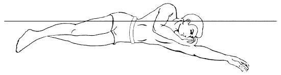 Иллюстрация к книге — Полное погружение. Как плавать лучше, быстрее и легче [_12.jpg]