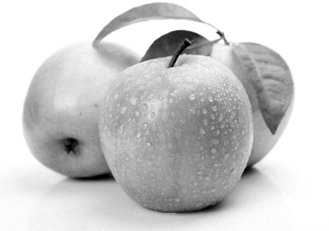 Иллюстрация к книге — Новый счетчик калорий [_30.jpg]