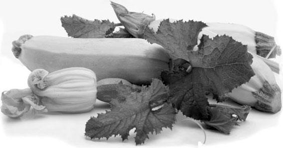 Иллюстрация к книге — Новый счетчик калорий [_41.jpg]