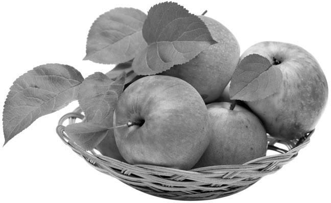 Иллюстрация к книге — Новый счетчик калорий [_9.jpg]