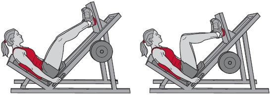 Иллюстрация к книге — Библия велосипедиста [i_124.jpg]