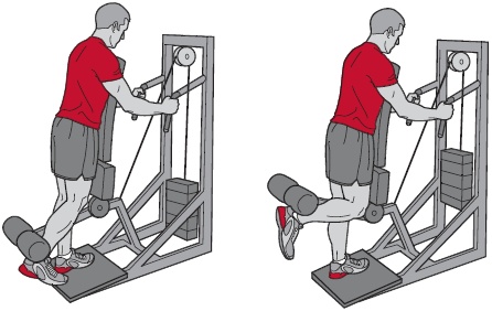 Иллюстрация к книге — Библия велосипедиста [i_130.jpg]