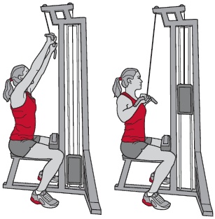 Иллюстрация к книге — Библия велосипедиста [i_132.jpg]