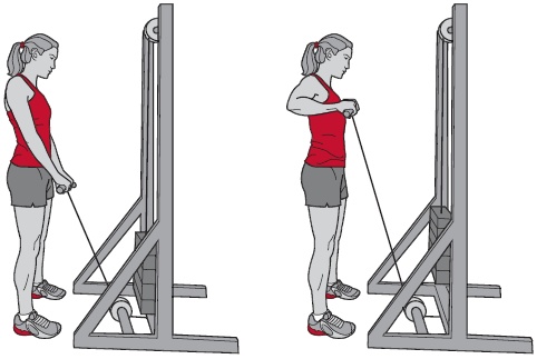 Иллюстрация к книге — Библия велосипедиста [i_133.jpg]