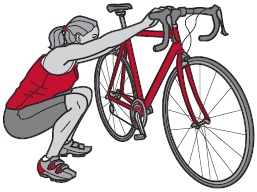 Иллюстрация к книге — Библия велосипедиста [i_138.jpg]