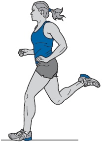 Иллюстрация к книге — Библия триатлета [i_106.jpg]