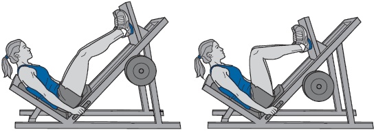 Иллюстрация к книге — Библия триатлета [i_121.jpg]