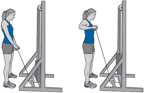 Иллюстрация к книге — Библия триатлета [i_131.jpg]