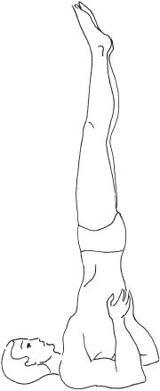 Иллюстрация к книге — Йога с нуля. Основные асаны [Autogen_eBook_id15.jpg]