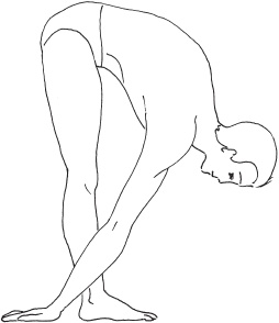 Иллюстрация к книге — Йога с нуля. Основные асаны [Autogen_eBook_id7.jpg]