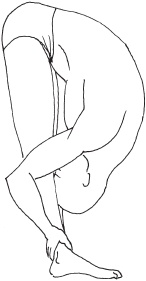 Иллюстрация к книге — Йога с нуля. Основные асаны [Autogen_eBook_id8.jpg]