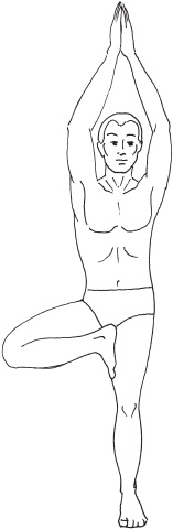 Иллюстрация к книге — Йога с нуля. Основные асаны [Autogen_eBook_id9.jpg]