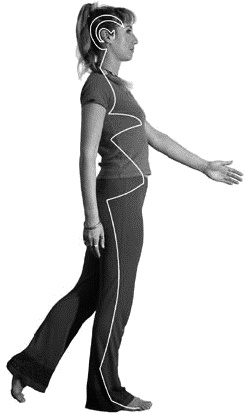 Иллюстрация к книге — Грыжа позвоночника. Безоперационное лечение и профилактика [_113.jpg]