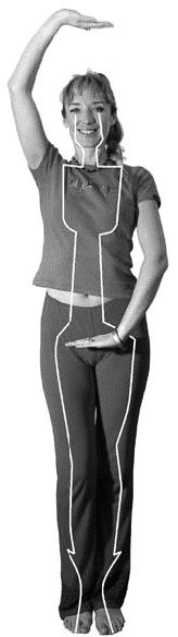 Иллюстрация к книге — Грыжа позвоночника. Безоперационное лечение и профилактика [_122.jpg]