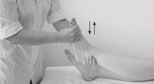 Иллюстрация к книге — Атлас. Практический массаж [i_032.jpg]