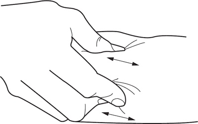 Иллюстрация к книге — Атлас. Практический массаж [i_046.jpg]