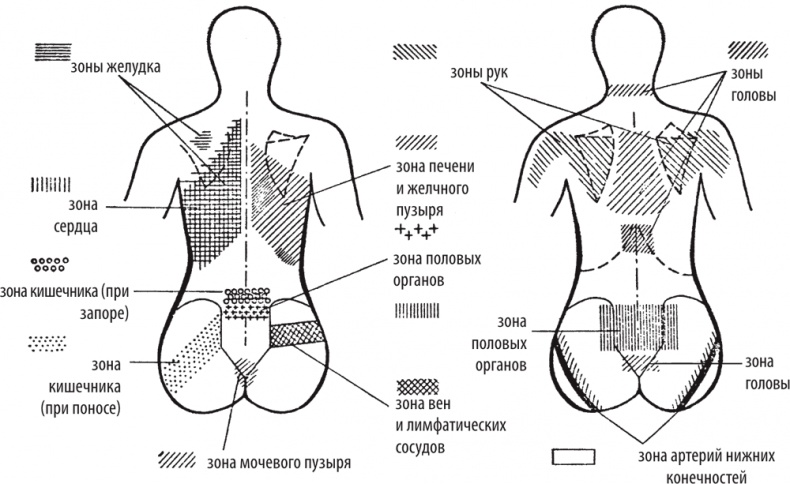 Иллюстрация к книге — Атлас. Практический массаж [i_057.jpg]