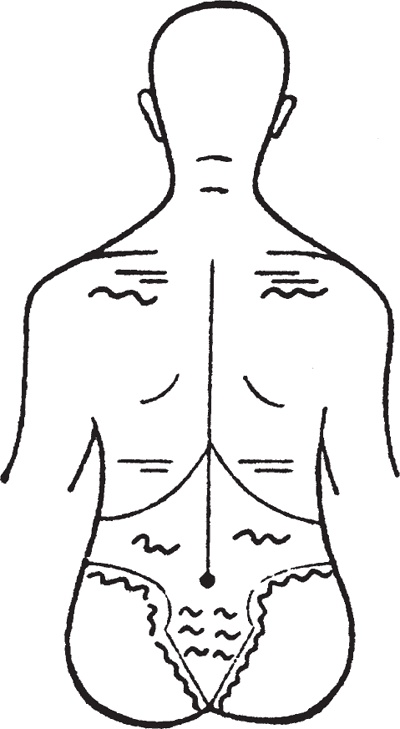 Иллюстрация к книге — Атлас. Практический массаж [i_058.jpg]