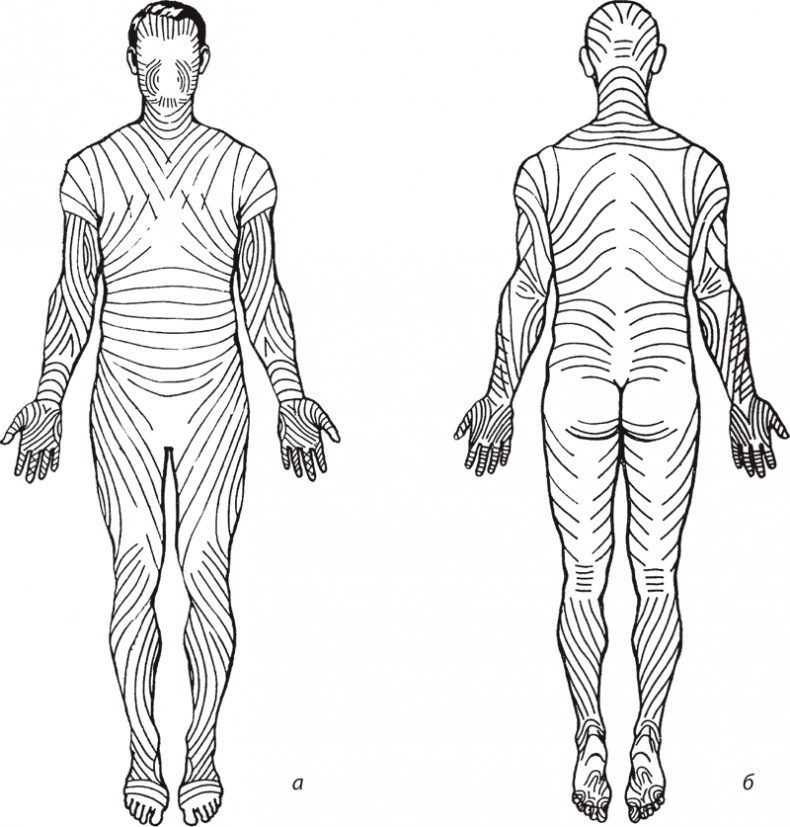 Иллюстрация к книге — Атлас. Практический массаж [i_061.jpg]