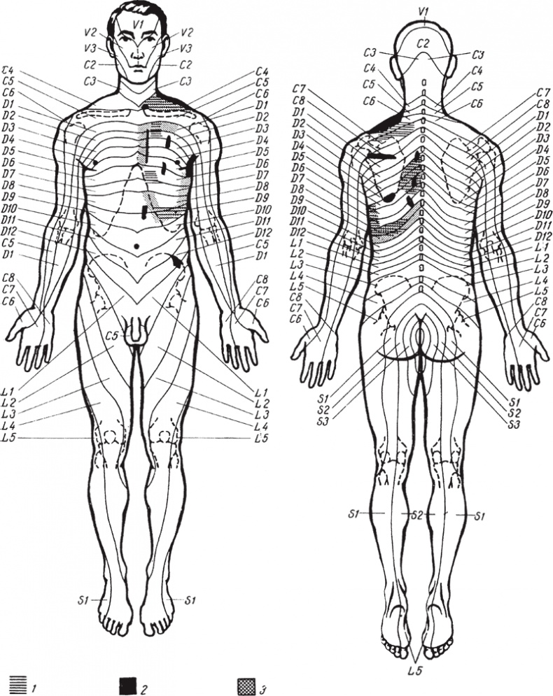 Иллюстрация к книге — Атлас. Практический массаж [i_129.jpg]