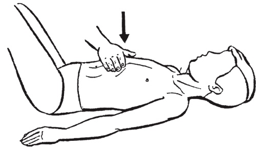 Иллюстрация к книге — Атлас. Практический массаж [i_135.jpg]