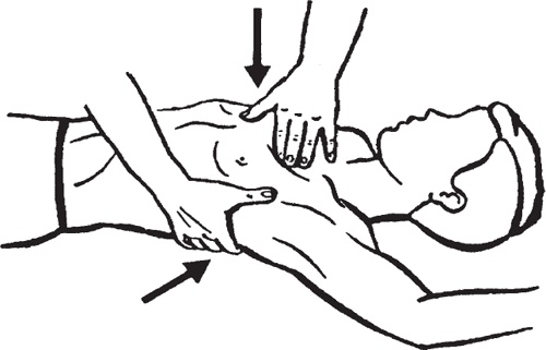 Иллюстрация к книге — Атлас. Практический массаж [i_139.jpg]