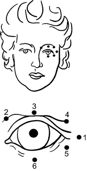 Иллюстрация к книге — Болезни глаз: глаукома и катаракта. Карманный справочник [i_005.jpg]