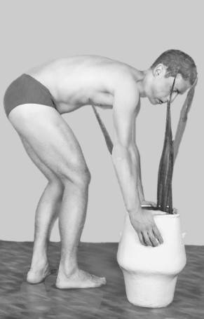 Иллюстрация к книге — Ария для спины. Авторская программа против боли в суставах [i_017.jpg]