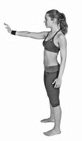 Иллюстрация к книге — Ария для спины. Авторская программа против боли в суставах [i_031.jpg]