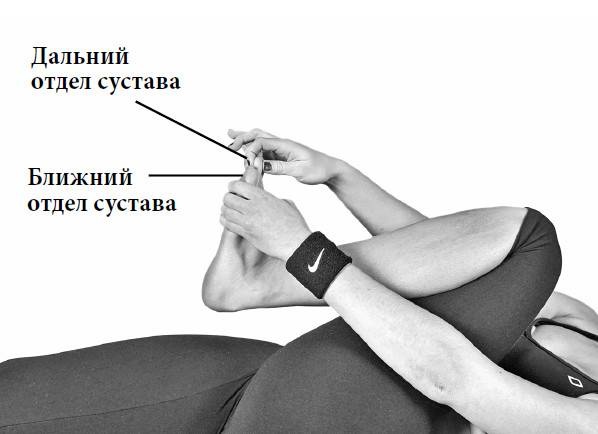 Иллюстрация к книге — Ария для спины. Авторская программа против боли в суставах [i_109.jpg]