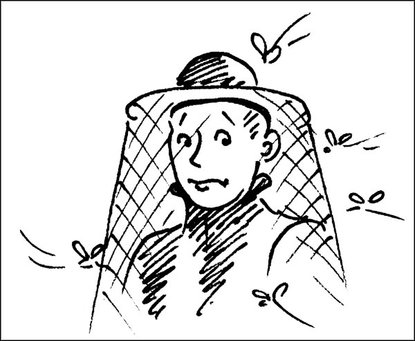 Иллюстрация к книге — Биоритмы для здоровья. Как улучшить свое состояние по биологическим часам [_041.jpg]