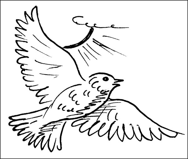 Иллюстрация к книге — Биоритмы для здоровья. Как улучшить свое состояние по биологическим часам [_0791.jpg]